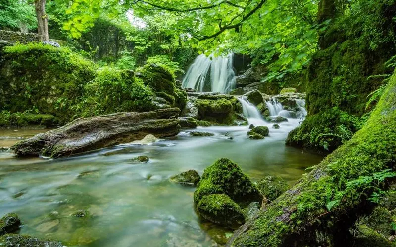 独特科技高端